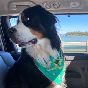 Meet your Posher, Laurie